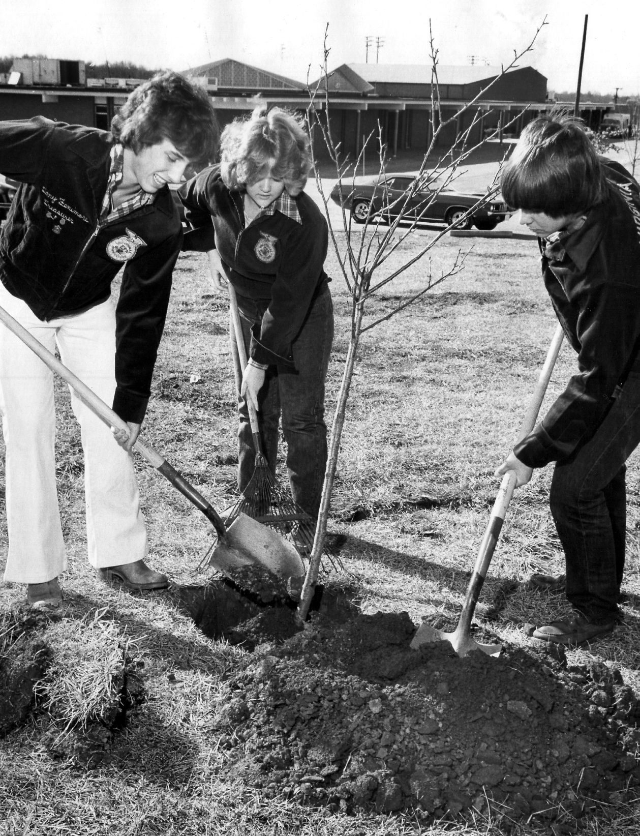 1977-02-21 tree.jpg